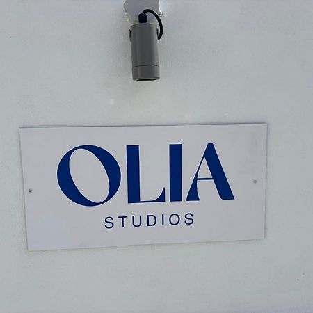 Olia Studios Olga Studios Фалираки Экстерьер фото