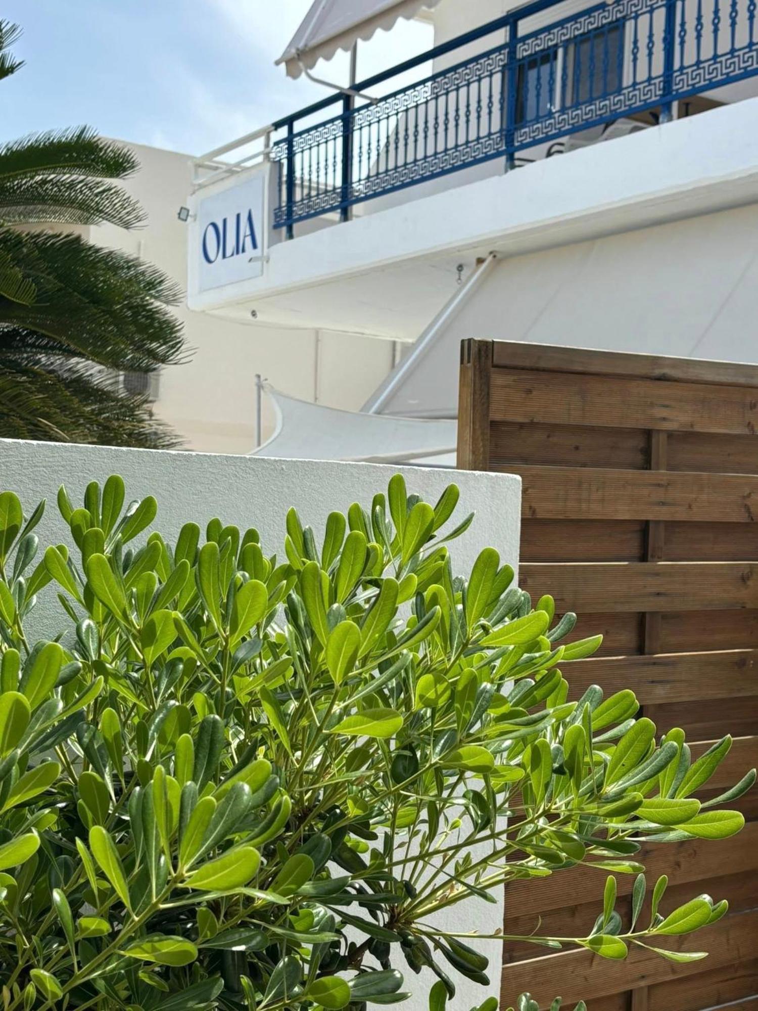 Olia Studios Olga Studios Фалираки Экстерьер фото