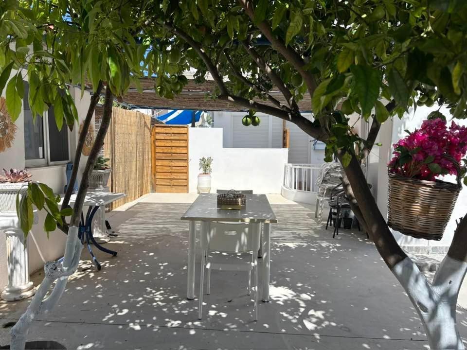 Olia Studios Olga Studios Фалираки Экстерьер фото