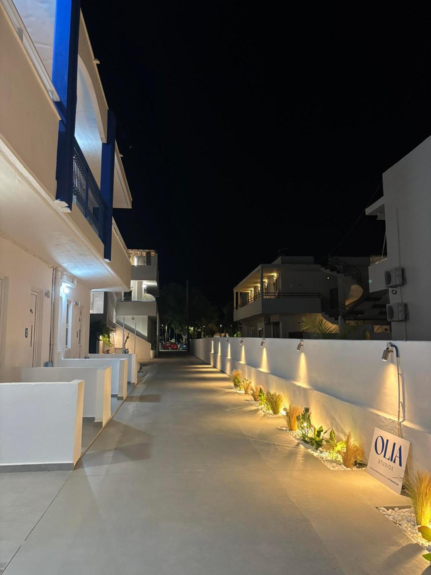 Olia Studios Olga Studios Фалираки Экстерьер фото